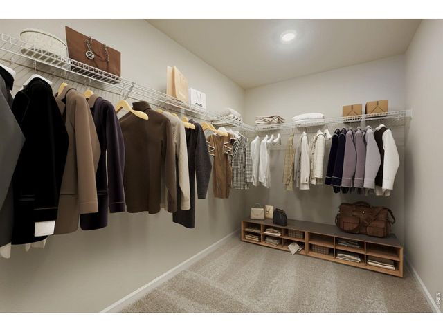 771 Wood Sorrel Ln, Fort Collins, CO 80524