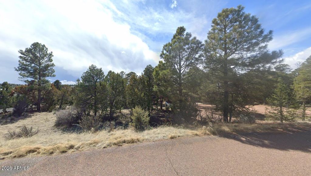 Image 1 of property listing at 2223 FAIRWAY Drive 16, Overgaard, AZ 85933
