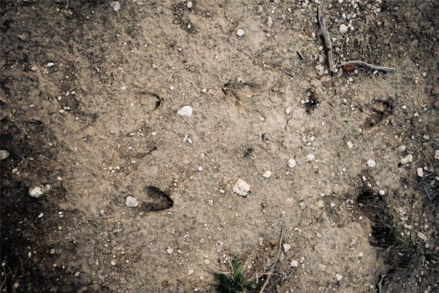 20801 Hamilton Pool RD, Austin, TX 78738