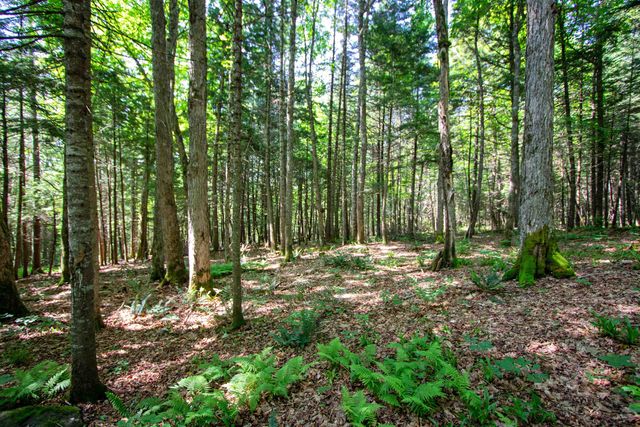 758 Houghton Bridge Road, St. Johnsbury, VT 05819