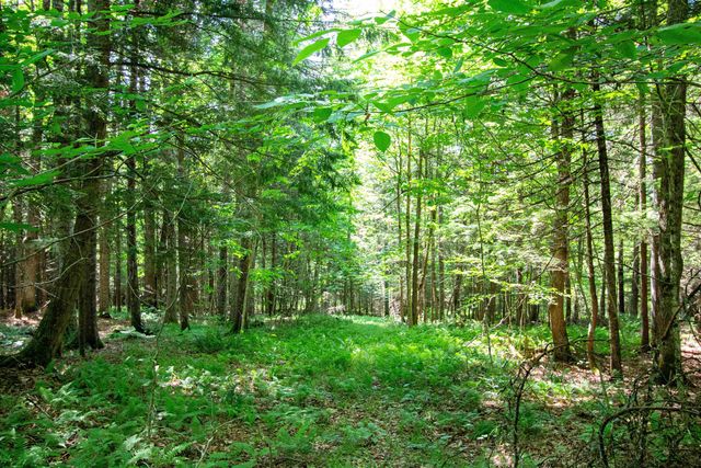 758 Houghton Bridge Road, St. Johnsbury, VT 05819