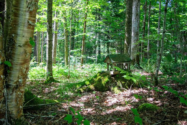 758 Houghton Bridge Road, St. Johnsbury, VT 05819