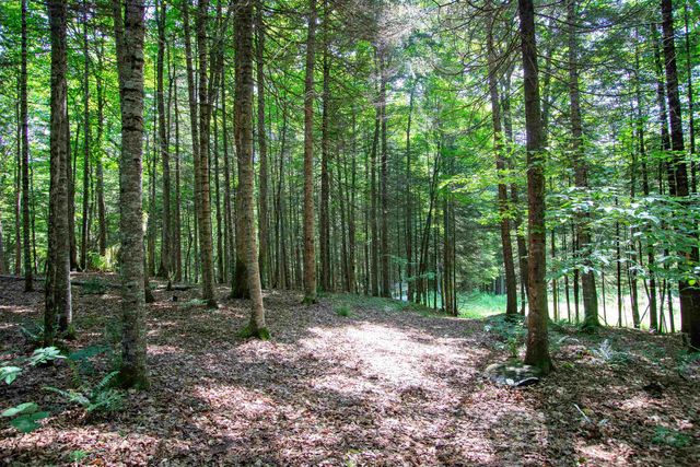 758 Houghton Bridge Road, St. Johnsbury, VT 05819