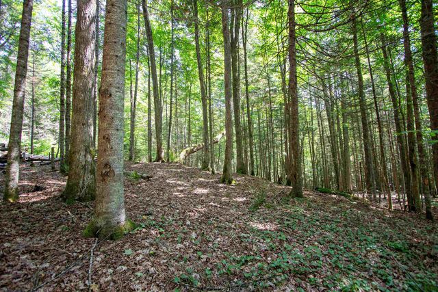 758 Houghton Bridge Road, St. Johnsbury, VT 05819