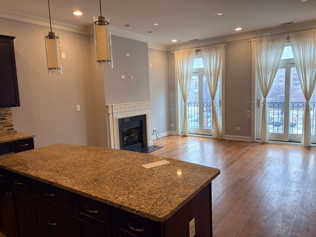 218 N Halsted Street 3, Chicago, IL 60661