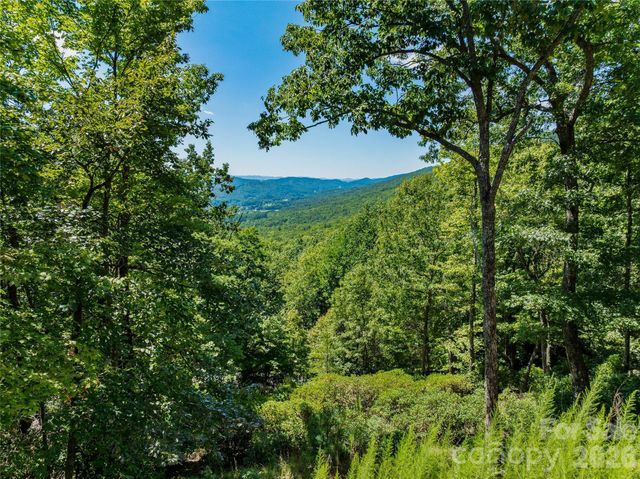 204 Forge Crest Drive 38, Mills River, NC 28759