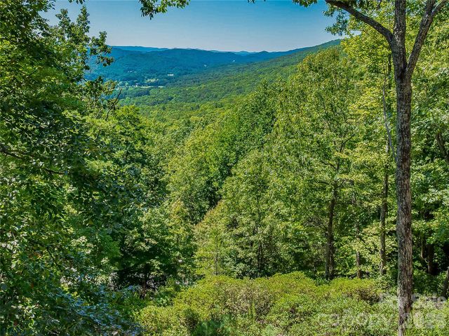 204 Forge Crest Drive 38, Mills River, NC 28759