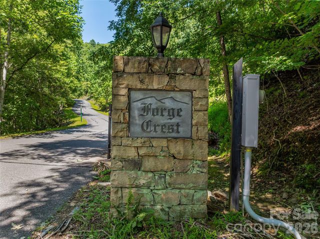 204 Forge Crest Drive 38, Mills River, NC 28759