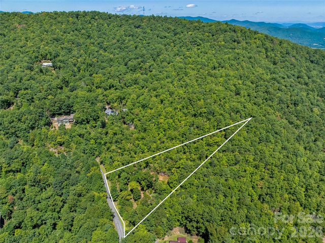 204 Forge Crest Drive 38, Mills River, NC 28759