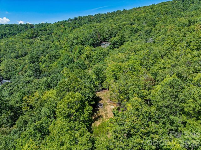 204 Forge Crest Drive 38, Mills River, NC 28759