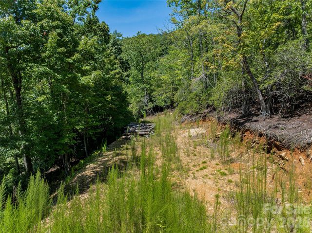 204 Forge Crest Drive 38, Mills River, NC 28759