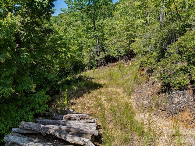 204 Forge Crest Drive 38, Mills River, NC 28759