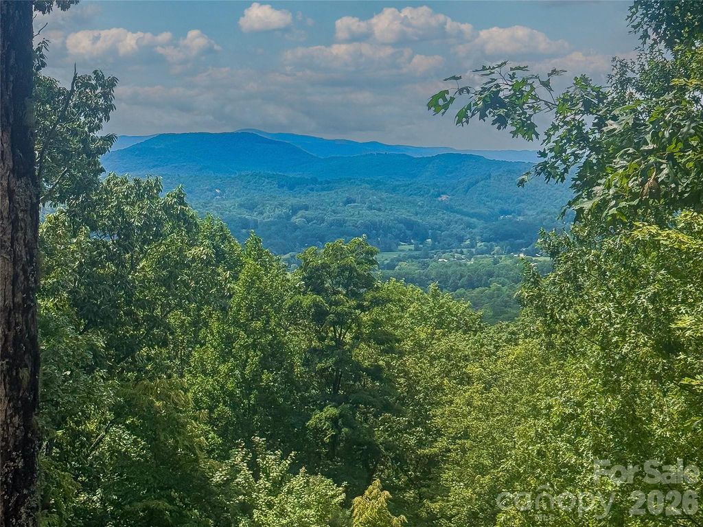 204 Forge Crest Drive 38, Mills River, NC 28759
