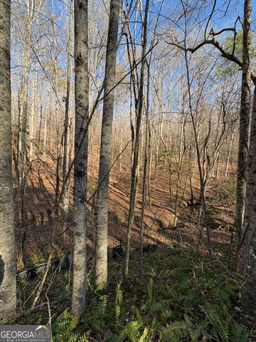 0 Gold View Drive, Dahlonega, GA 30533