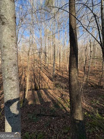 0 Gold View Drive, Dahlonega, GA 30533