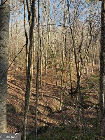 0 Gold View Drive, Dahlonega, GA 30533