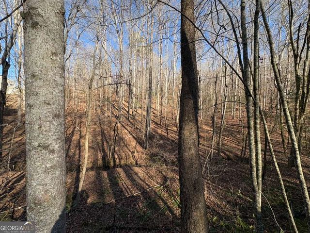 0 Gold View Drive, Dahlonega, GA 30533