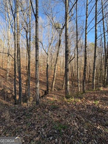 0 Gold View Drive, Dahlonega, GA 30533