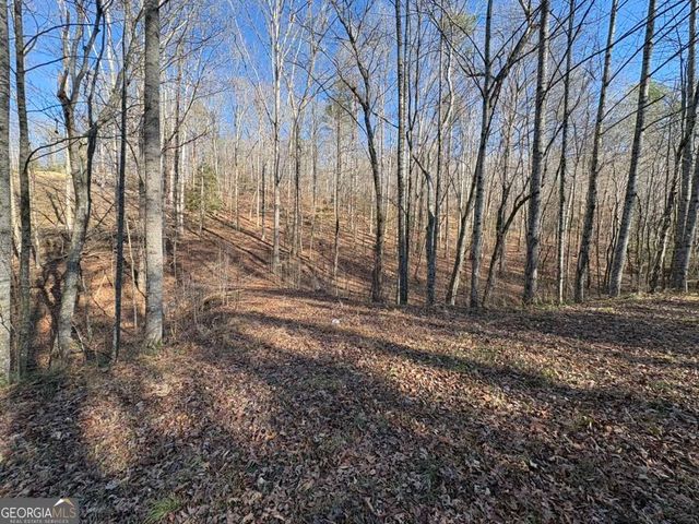 0 Gold View Drive, Dahlonega, GA 30533