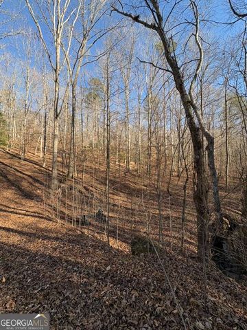 0 Gold View Drive, Dahlonega, GA 30533