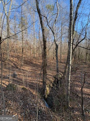 0 Gold View Drive, Dahlonega, GA 30533