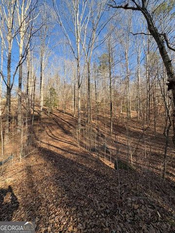 0 Gold View Drive, Dahlonega, GA 30533