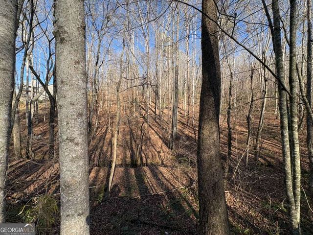 0 Gold View Drive, Dahlonega, GA 30533