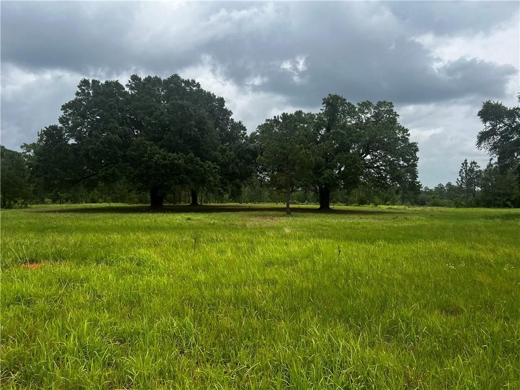 0 Hampton Ridge Court, Mobile, AL 36608