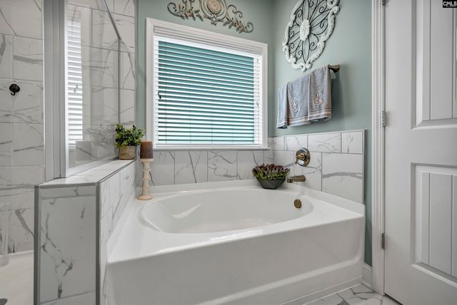 256 Laurelbrook Drive, Chapin, SC 29036