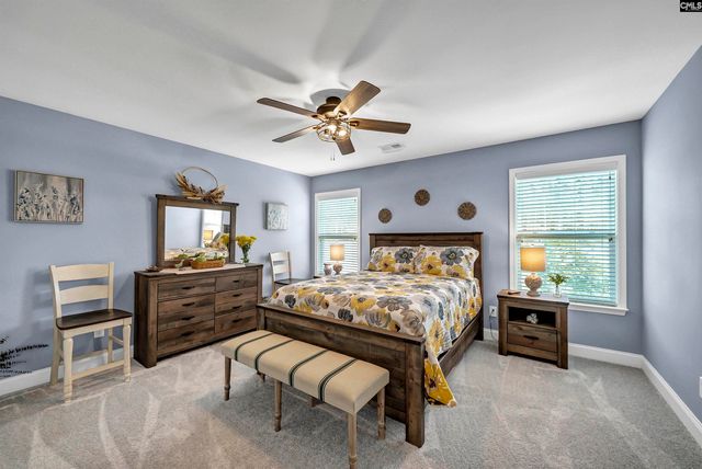 256 Laurelbrook Drive, Chapin, SC 29036