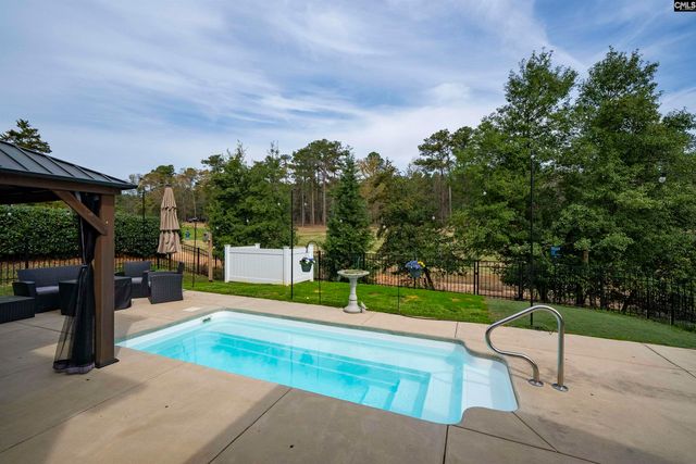 256 Laurelbrook Drive, Chapin, SC 29036