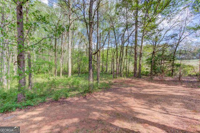 925 Nature Trail, Bethlehem, GA 30620