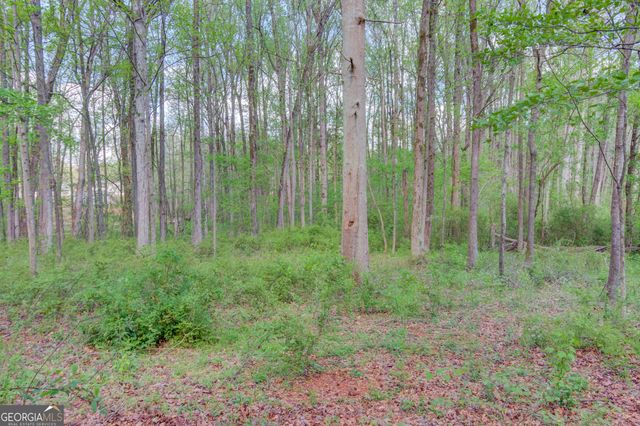 925 Nature Trail, Bethlehem, GA 30620
