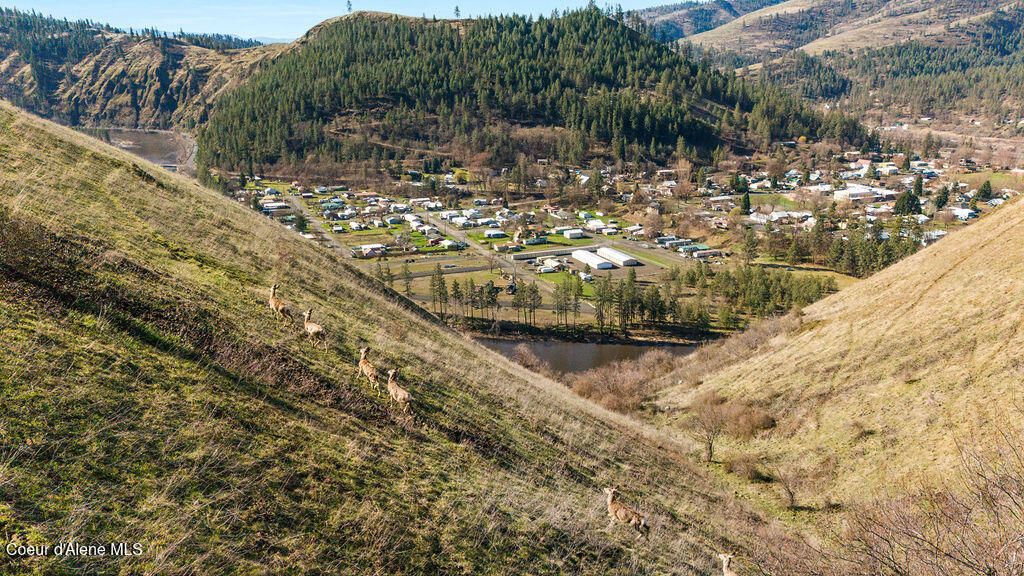 627 Raeder St, Kooskia, ID 83539 photo 16