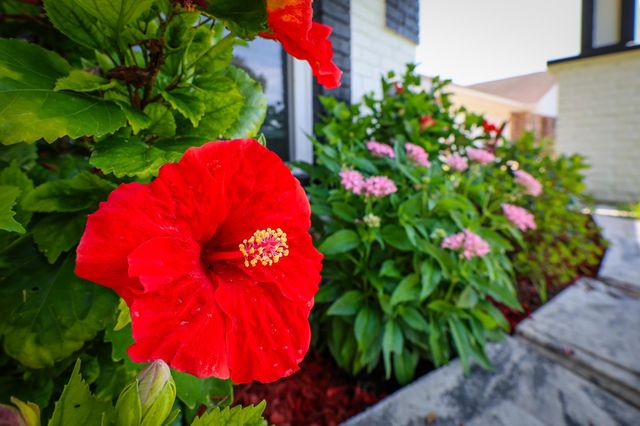 154 Presque Isle Drive, Houma, LA 70363