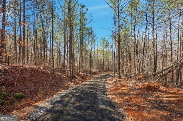 5.566 Acres on Orlando Path, Dallas, GA 30157