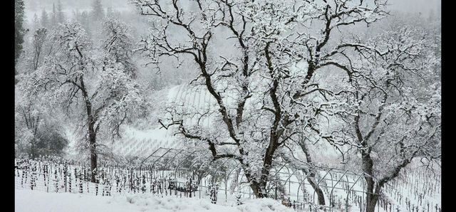 9425 Mosquito Rd, Placerville, CA 95667