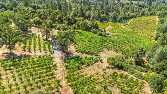 9425 Mosquito Rd, Placerville, CA 95667