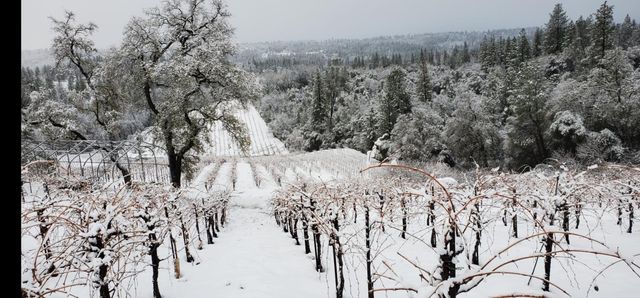 9425 Mosquito Rd, Placerville, CA 95667