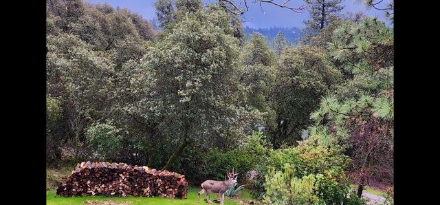 9425 Mosquito Rd, Placerville, CA 95667