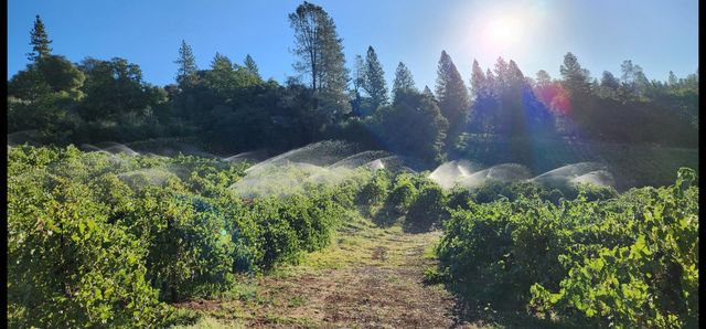 9425 Mosquito Rd, Placerville, CA 95667