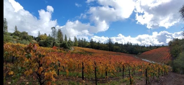 9425 Mosquito Rd, Placerville, CA 95667