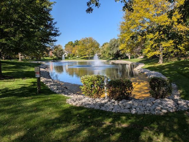 305 Stonefield Court, Schaumburg, IL 60173