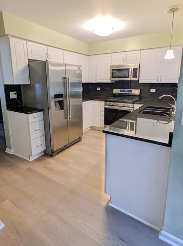 305 Stonefield Court, Schaumburg, IL 60173