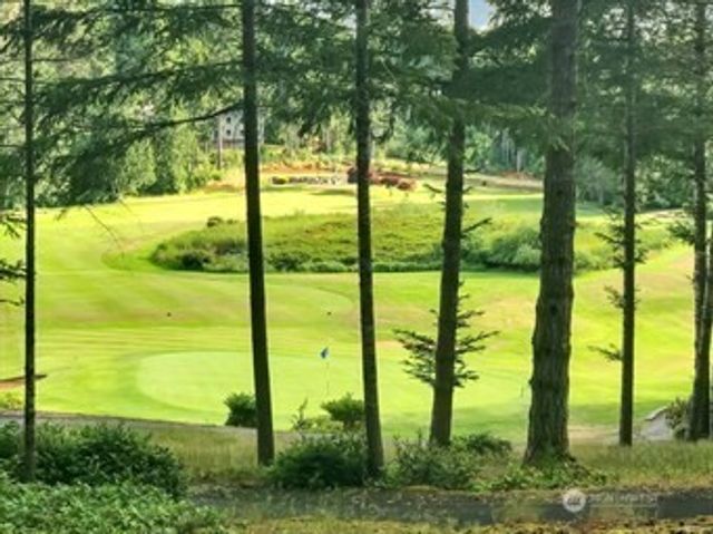 451 E Ballantrae Drive, Shelton, WA 98584
