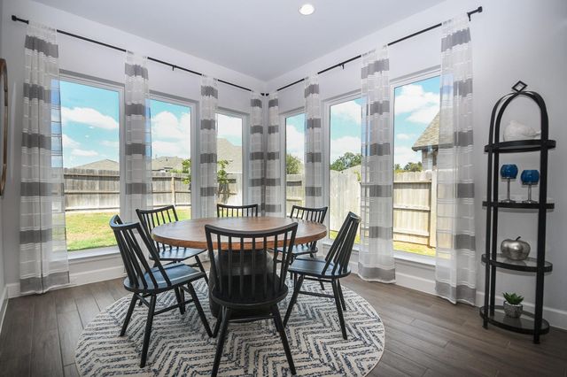 30314 Brook Point Court Court, Fulshear, TX 77441