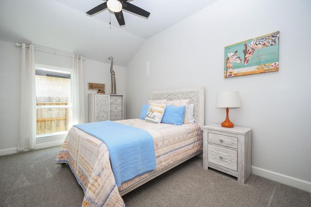 30314 Brook Point Court Court, Fulshear, TX 77441