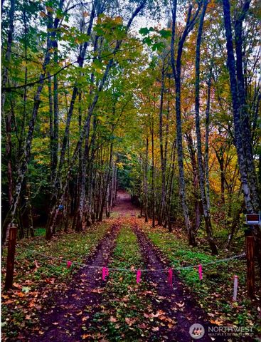 19713 196th ave E, Orting, WA 98360