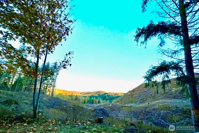 19713 196th ave E, Orting, WA 98360