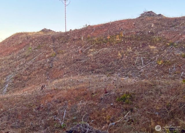 19713 196th ave E, Orting, WA 98360